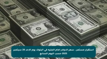 استقرار مستمر.. سعر الدولار أمام الجنيه في البنوك يوم الأحد 28 سبتمبر 2025 حسب اليوم السابع